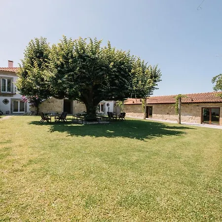 Apartament Linden Tree House A And B *