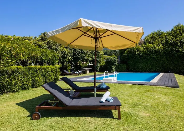 Linden Tree House A And B